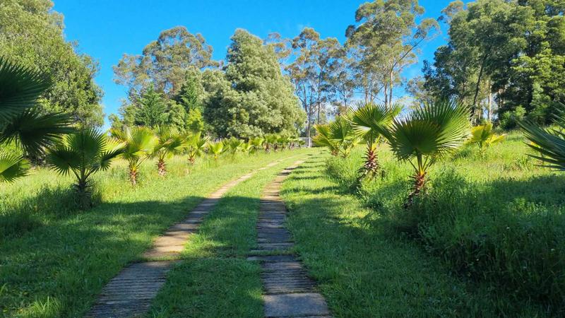5 Bedroom Property for Sale in Rheenendal Western Cape